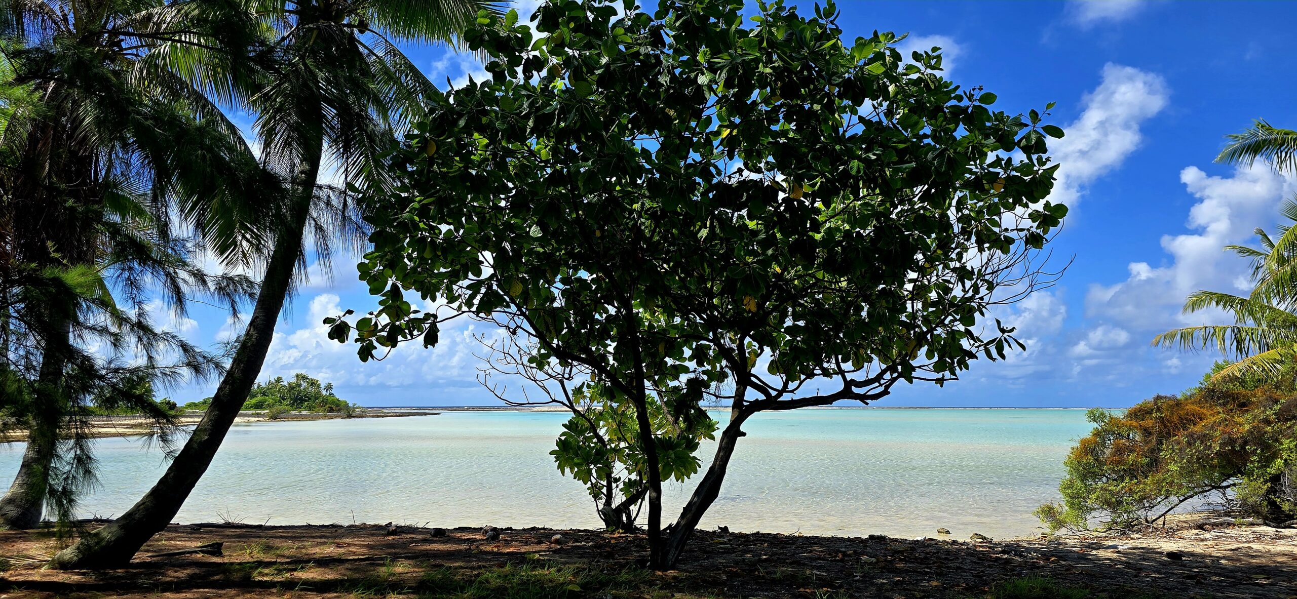 find your xanadu landscape motu in fakarava