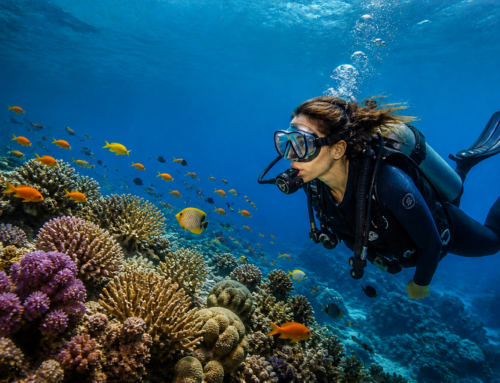The Neurobiology Of Awe: Why Seeking New Experiences Is A Longevity Hack